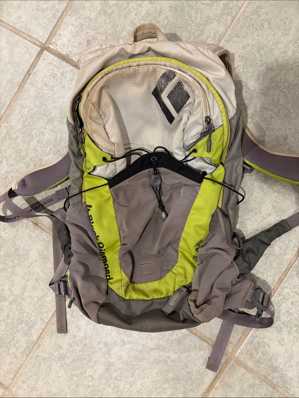 Black Diamond Backpack in Lime and Taupe Accent